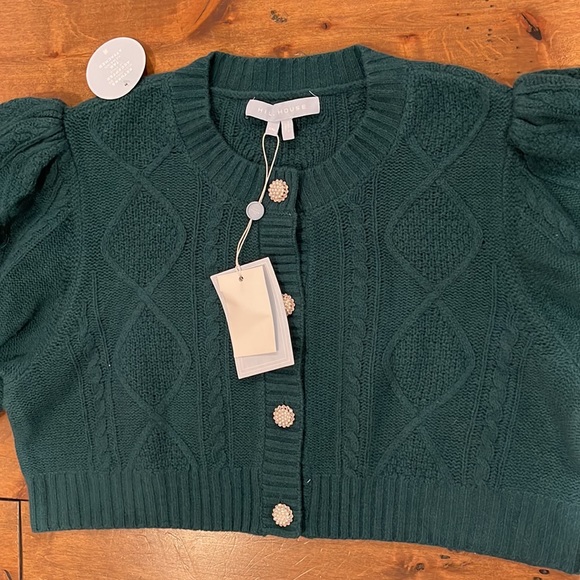 Hill House NWT The Ollie Sweater in Botanical Garden Merino Wool - Picture 11 of 16